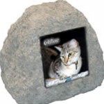 Pet crem petrock